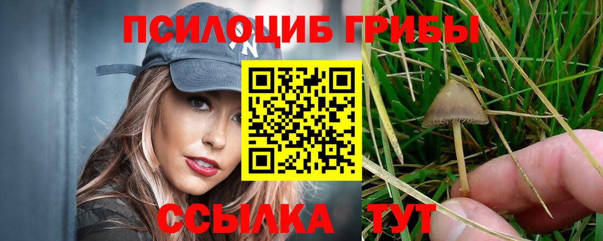 Псилоцибиновые грибы прущие грибы  Вход с VPN  Кызыл 